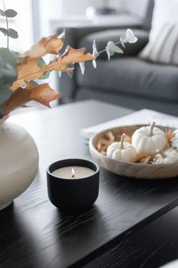 modern fall coffee table decor